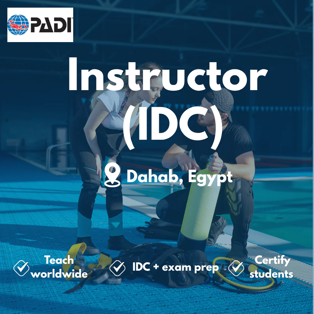 Instructor / IDC course in Dahab