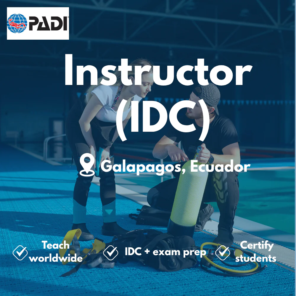 Instructor / IDC course in Galapagos