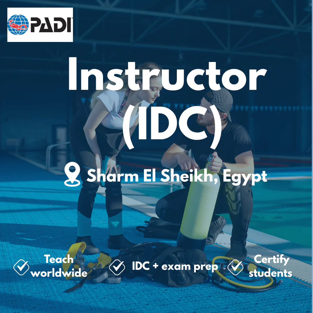 Instructor / IDC course in Sharm El Sheikh