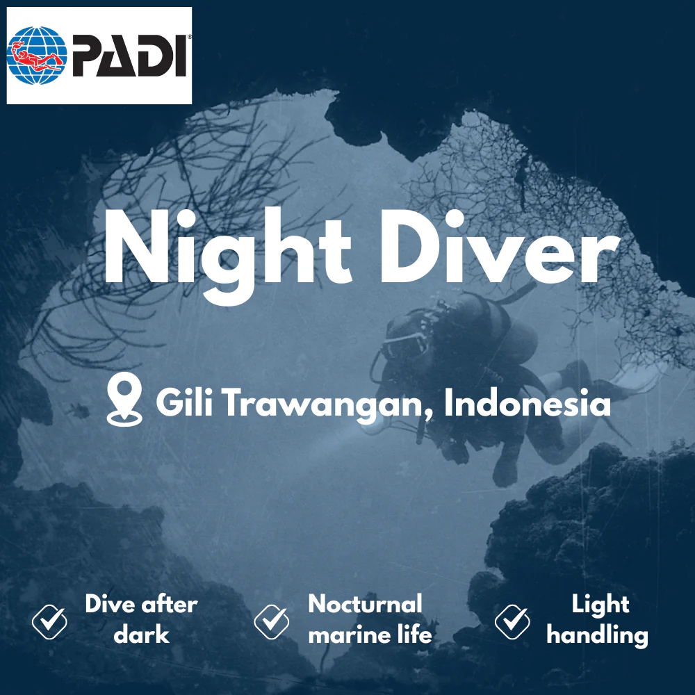 PADI Night Diver course in Gili Trawangan