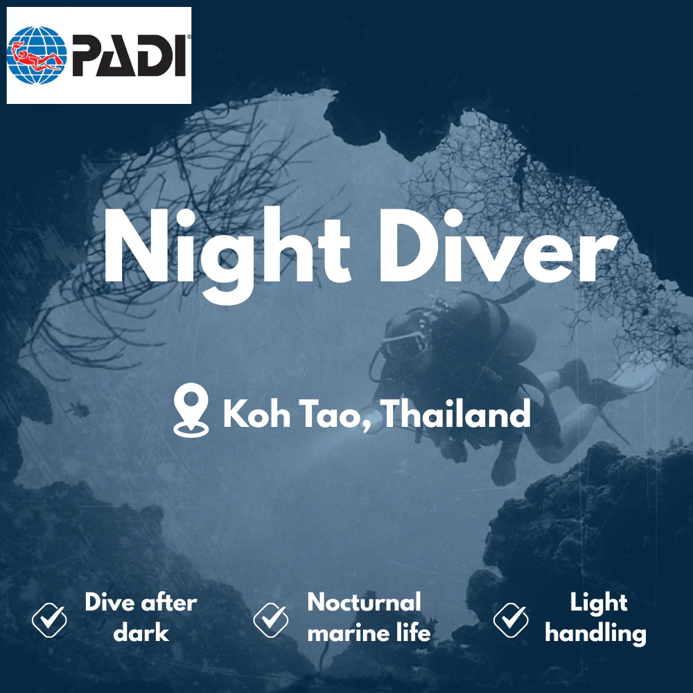 PADI Night Diver course in Koh Tao