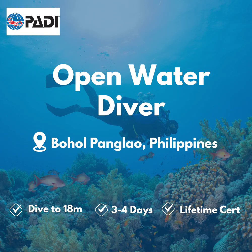 Open Water Diver course in Bohol Panglao
