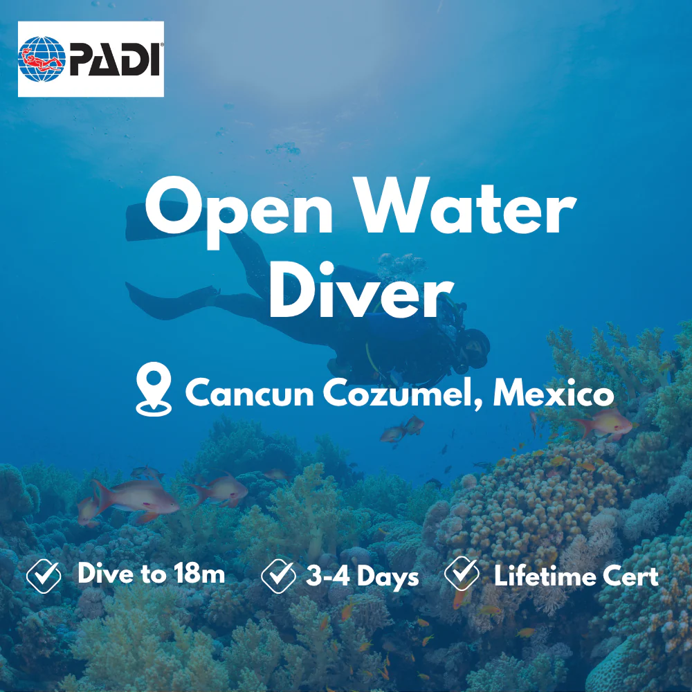Open Water Diver course in Cancun Cozumel