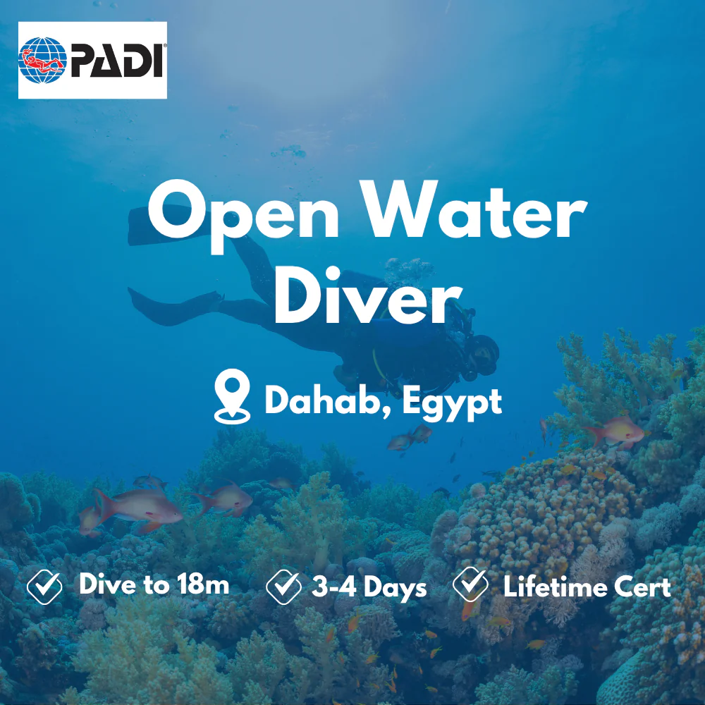 Open Water Diver course in Dahab