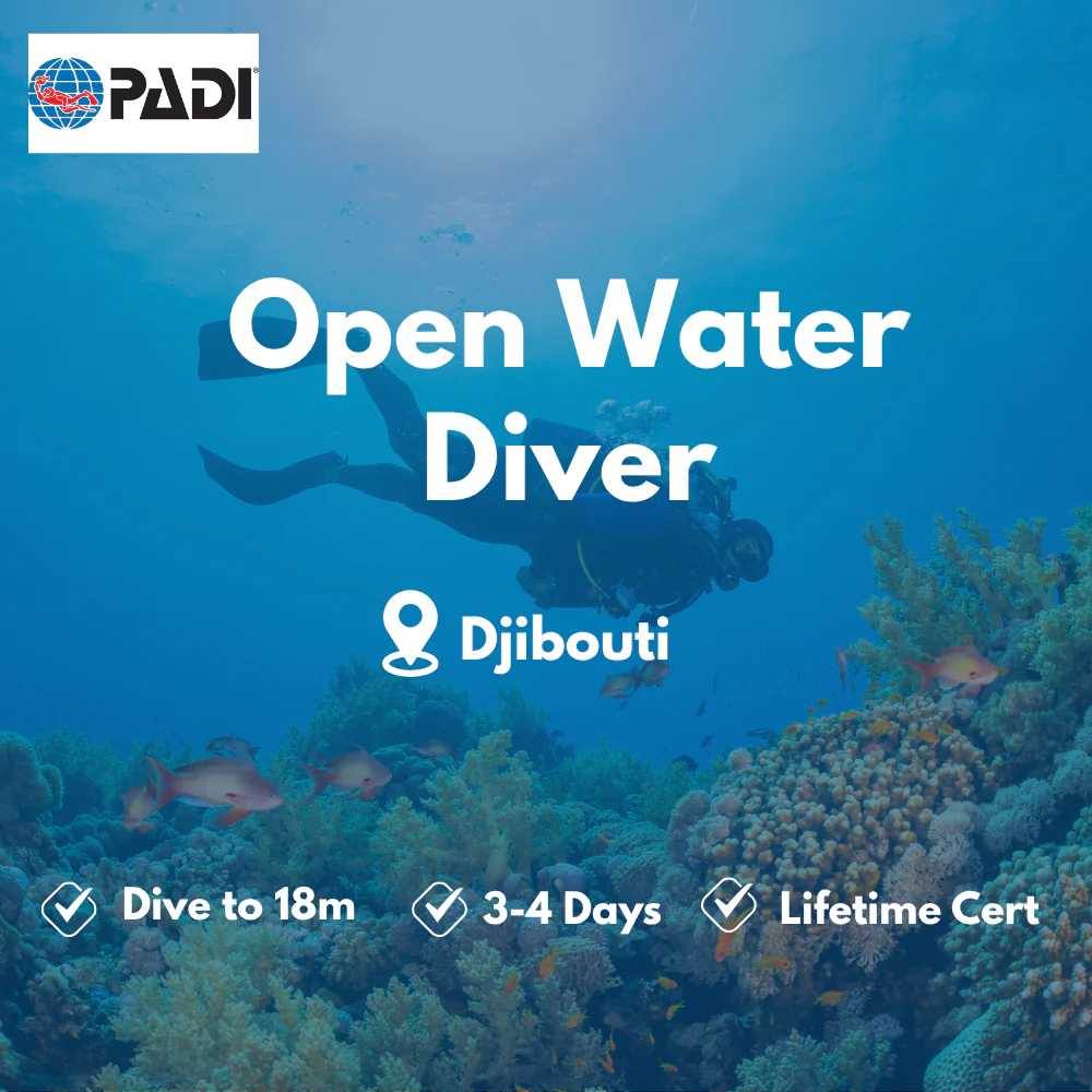 Open Water Diver course in Djibouti