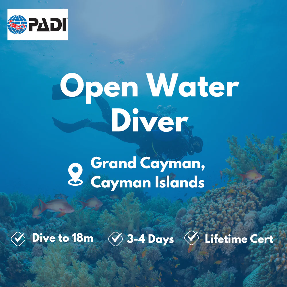 Open Water Diver course in Grand Cayman
