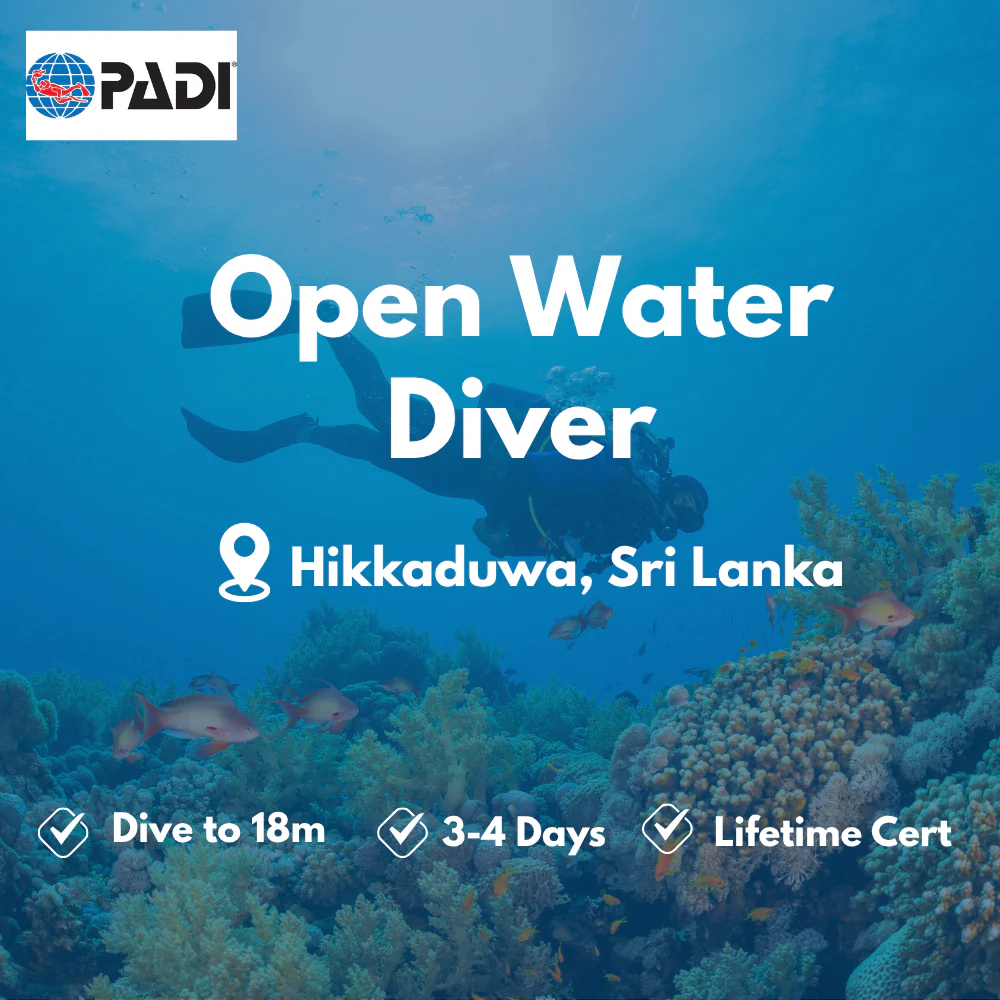 Open Water Diver course in Hikkaduwa
