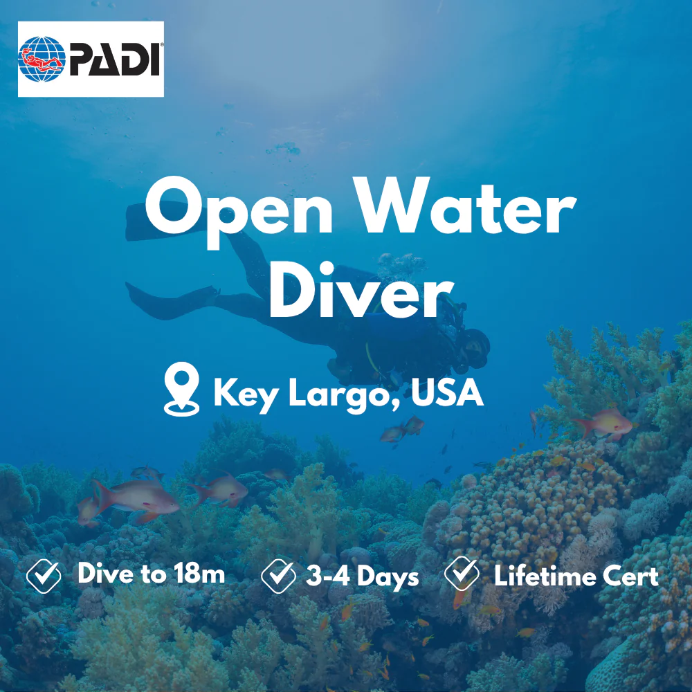 Open Water Diver course in Key Largo