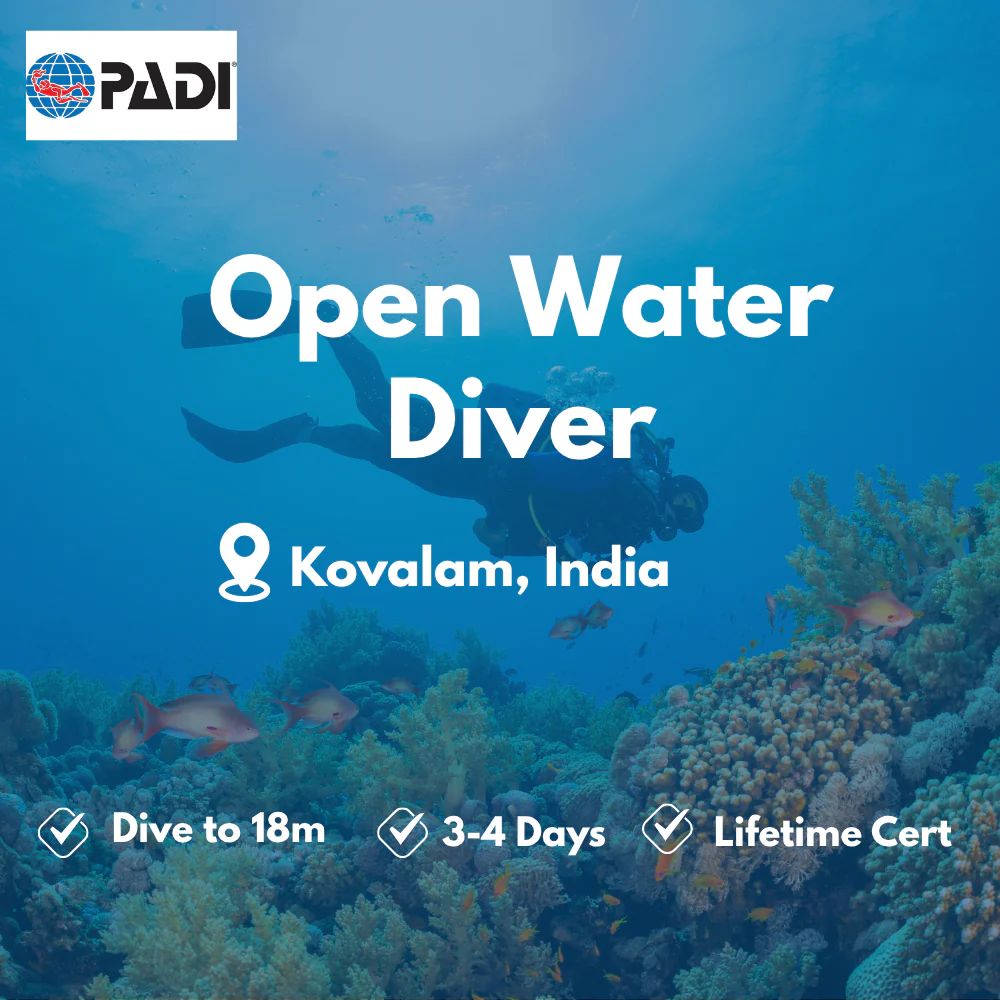 Open Water Diver course in Kovalam