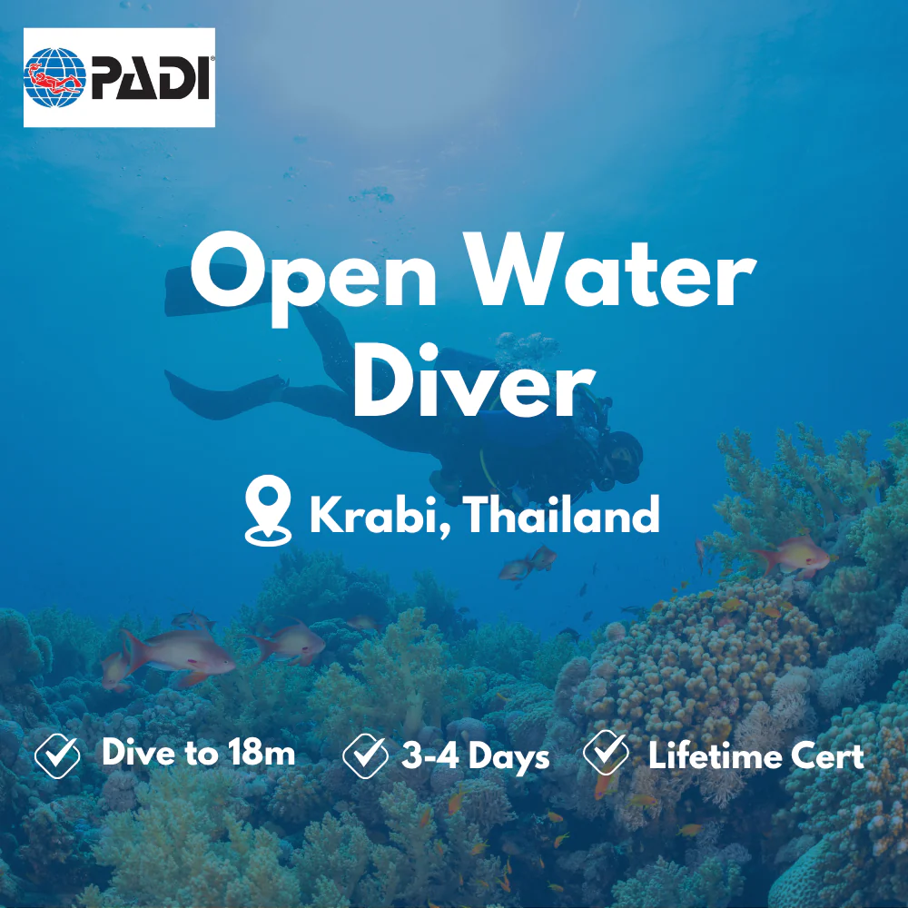 Open Water Diver course in Krabi