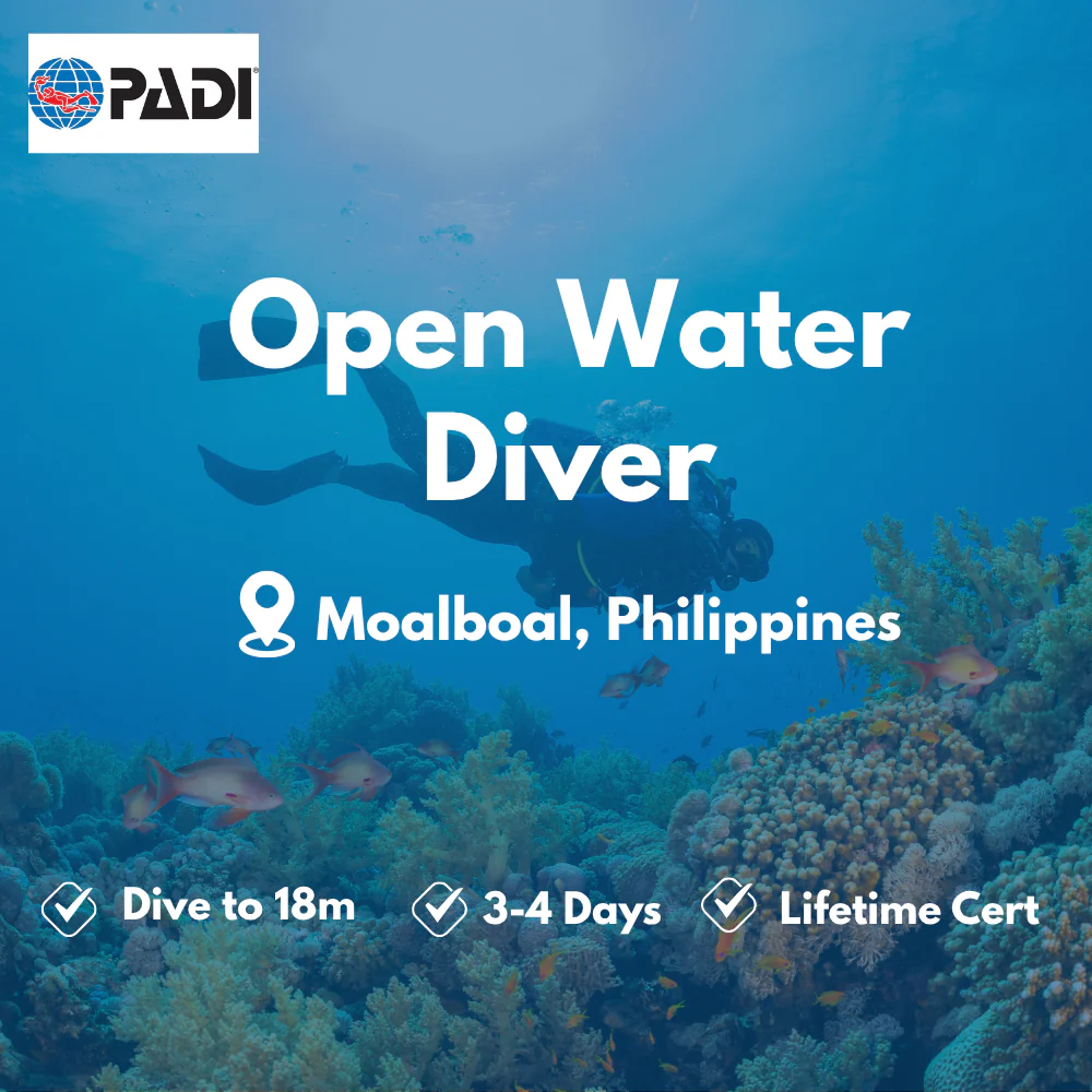 Open Water Diver course in Moalboal