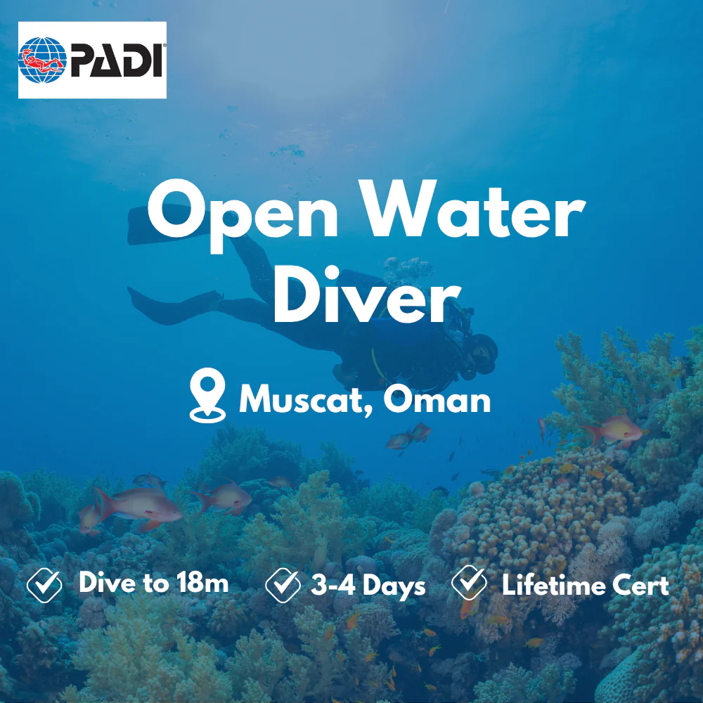 Open Water Diver course in Muscat