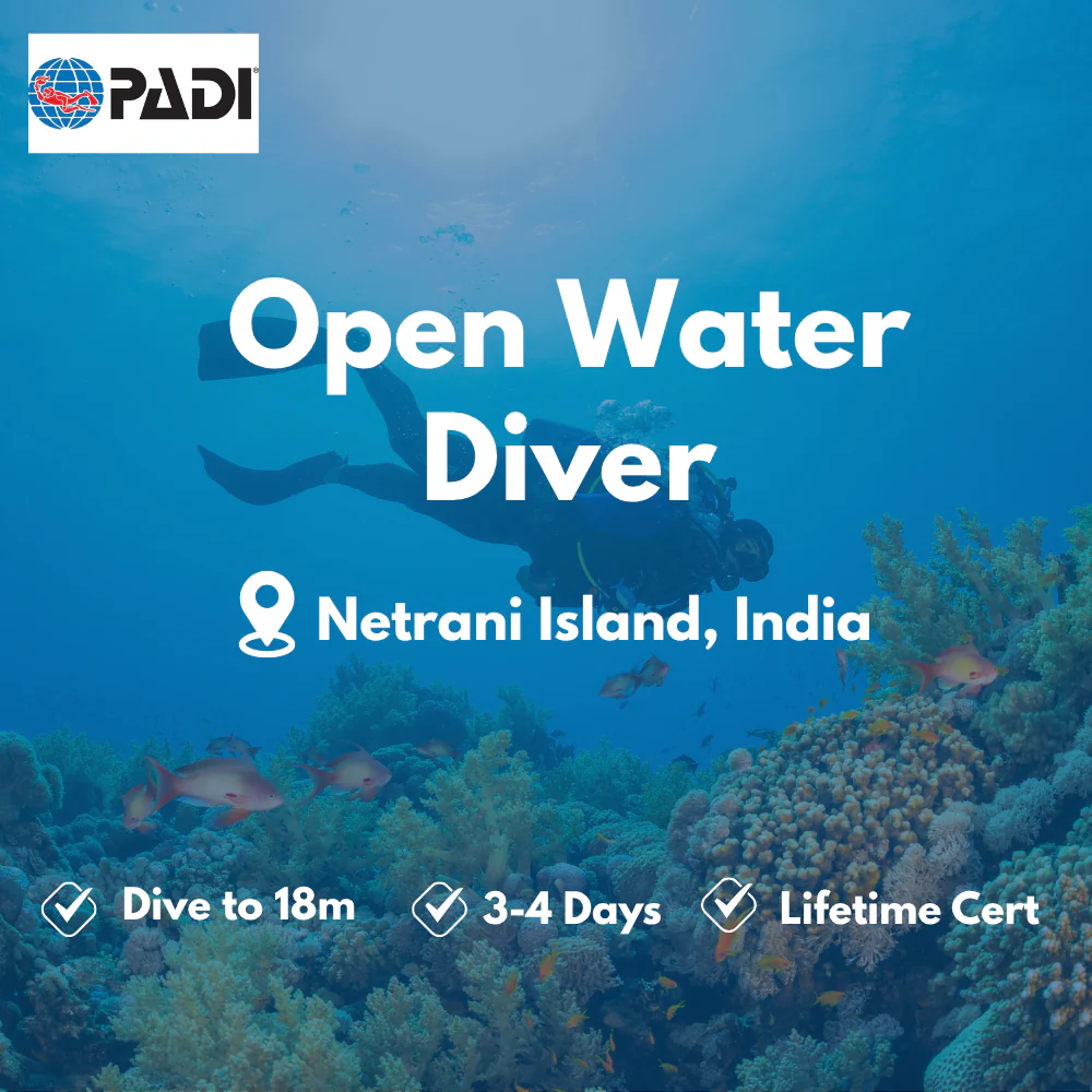 Open Water Diver course in Netrani Island