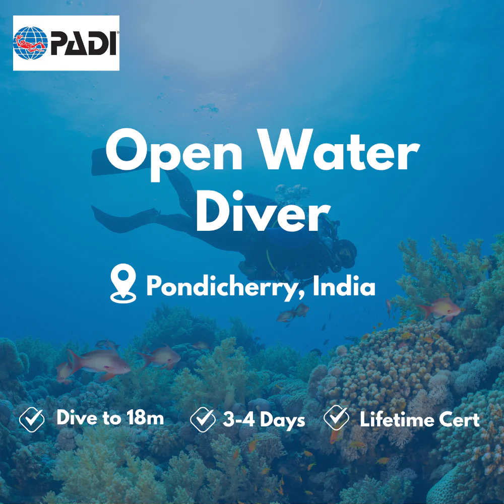 Open Water Diver course in Pondicherry
