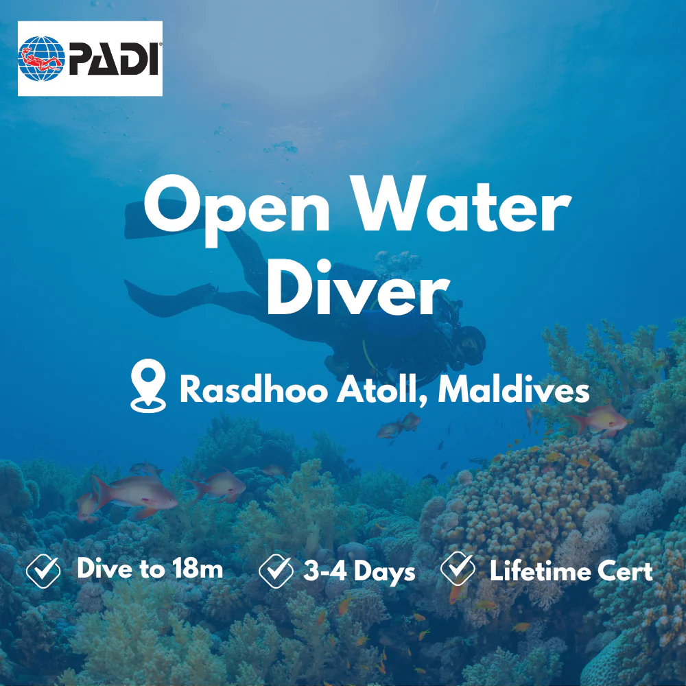 Open Water Diver course in Rasdhoo Atoll