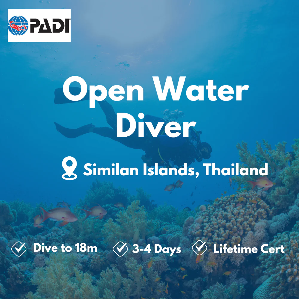Open Water Diver course in Similan Islands
