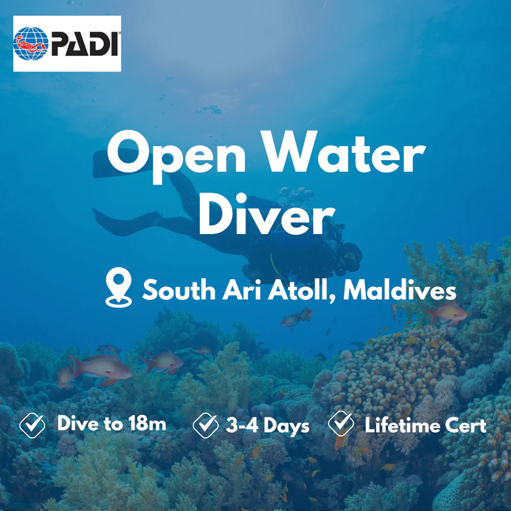 PADI Open Water Diver course in South Ari Atoll