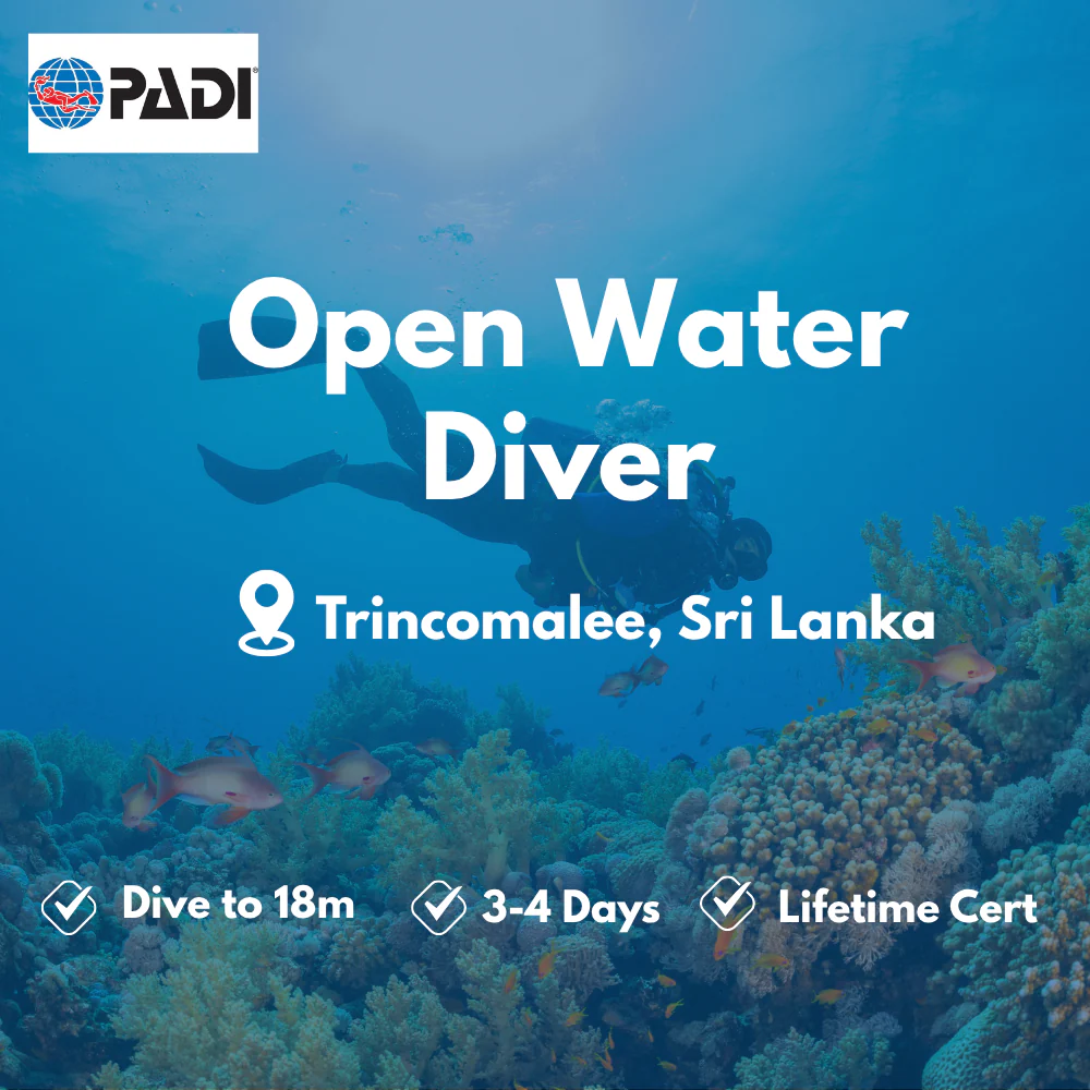 Open Water Diver course in Trincomalee