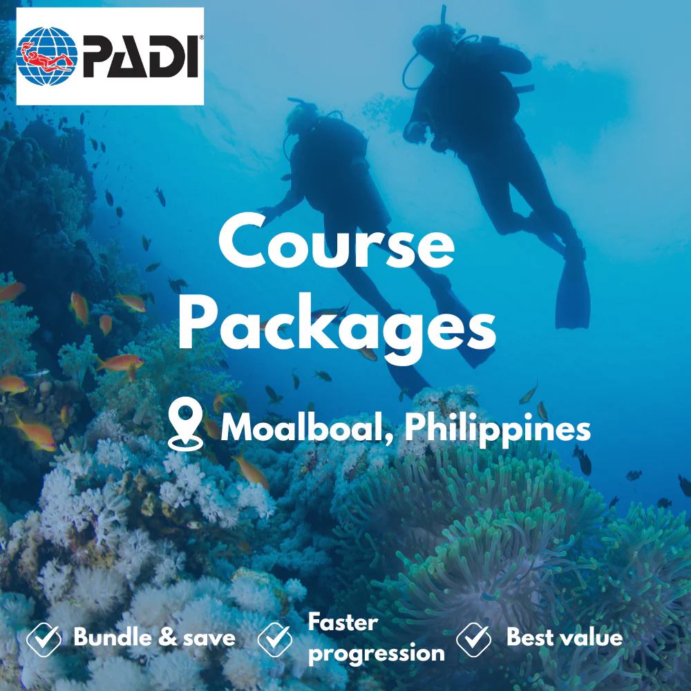 Course Packages course in Moalboal