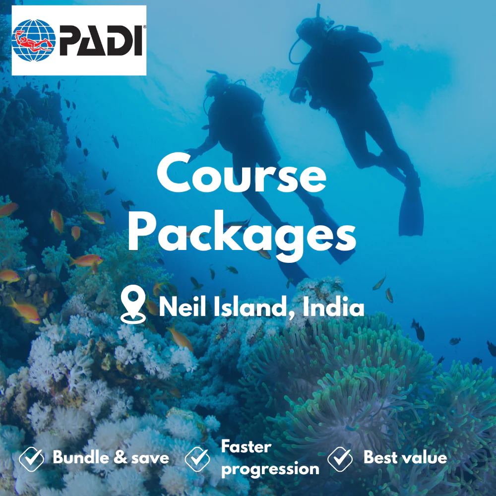 Course Packages course in Neil Island