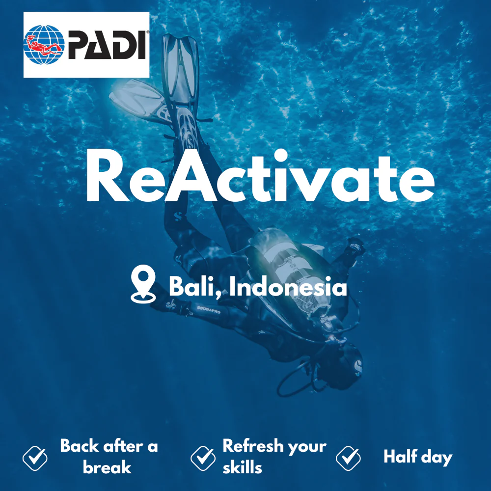 PADI Refresher / ReActivate course in Bali