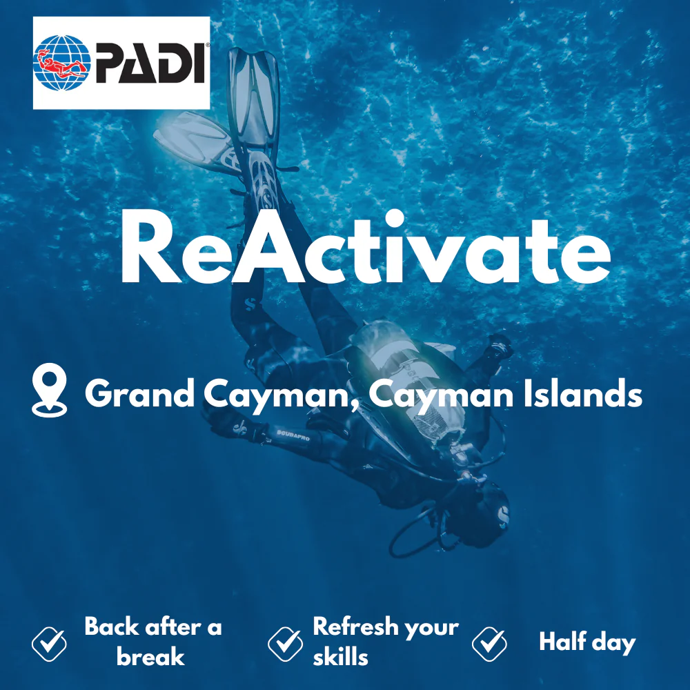 Refresher / ReActivate course in Grand Cayman