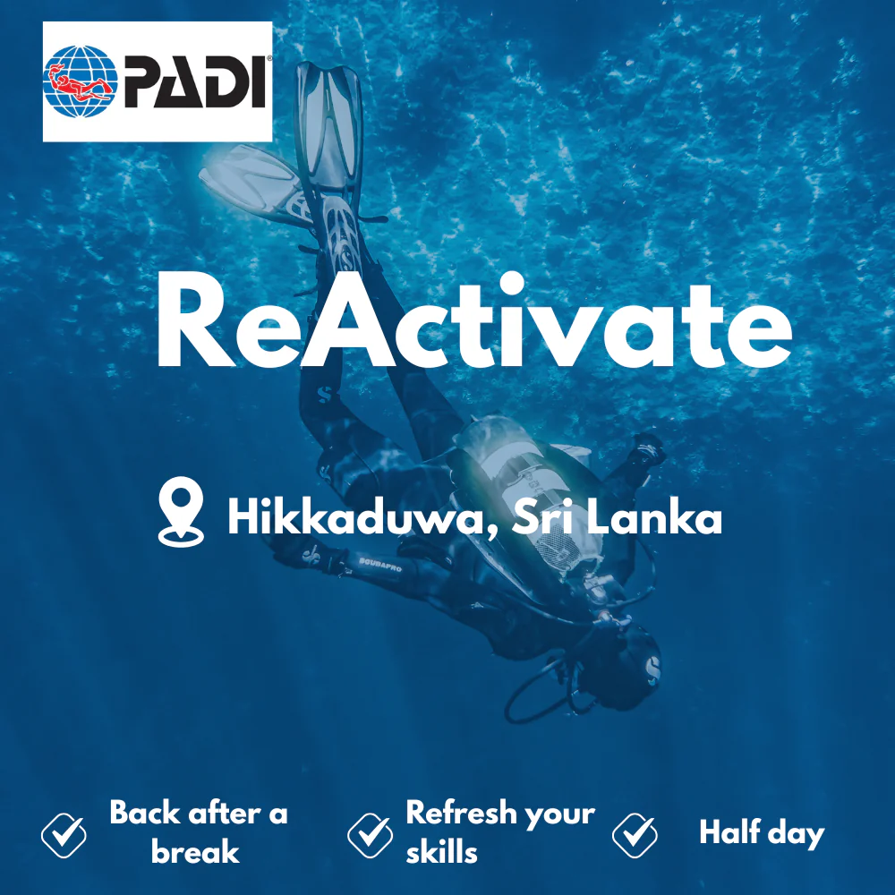 Refresher / ReActivate course in Hikkaduwa