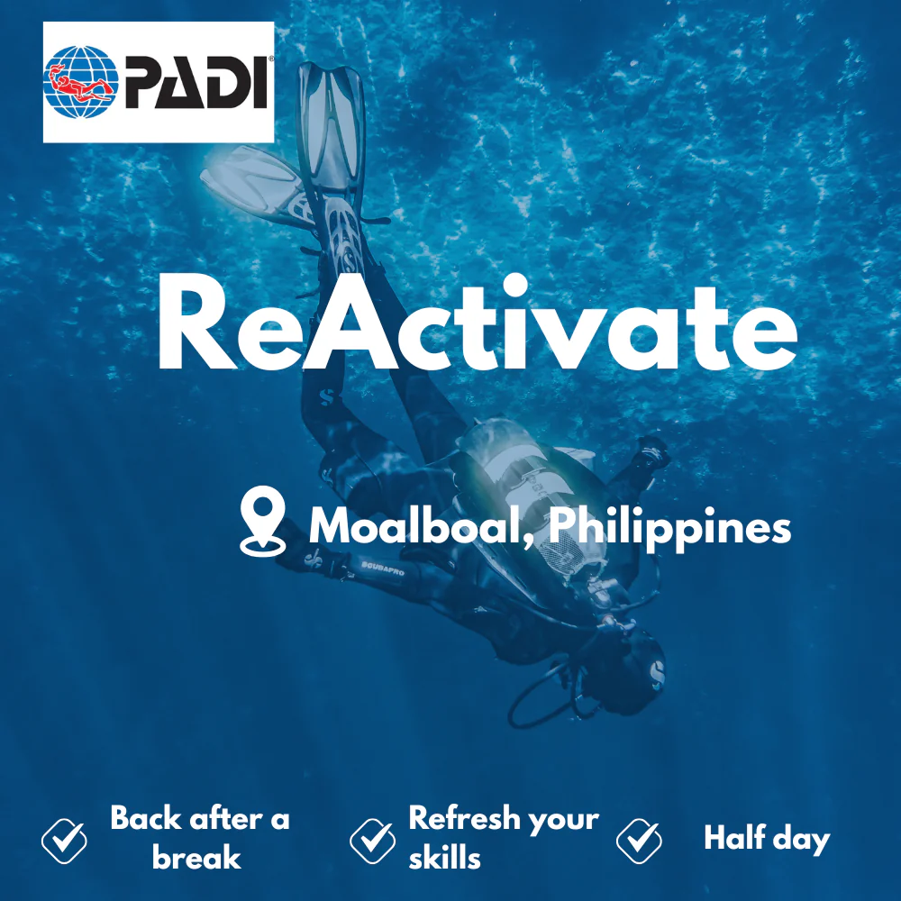 Refresher / ReActivate course in Moalboal