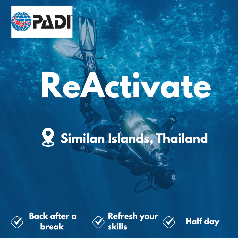 Refresher / ReActivate course in Similan Islands