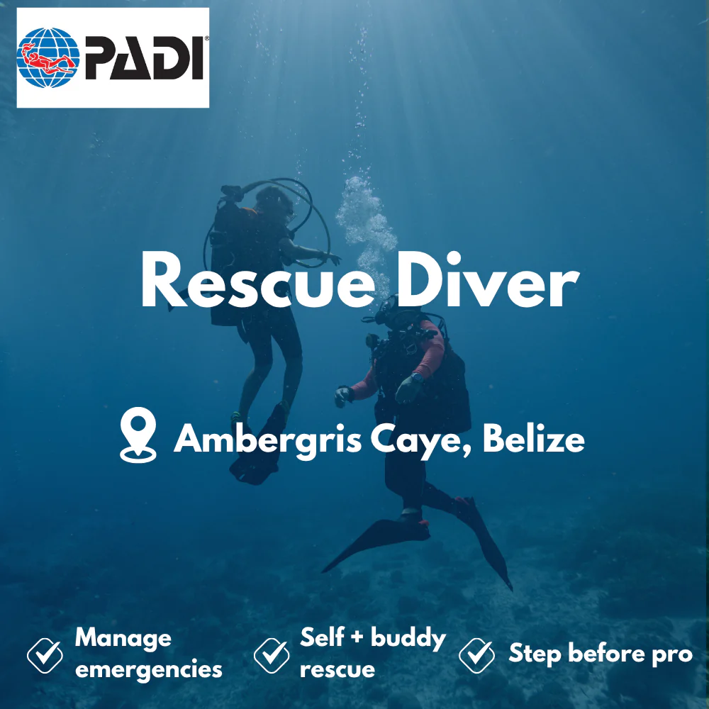 PADI Rescue Diver course in Ambergris Caye
