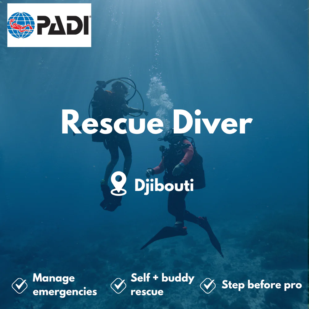 PADI Rescue Diver course in Djibouti