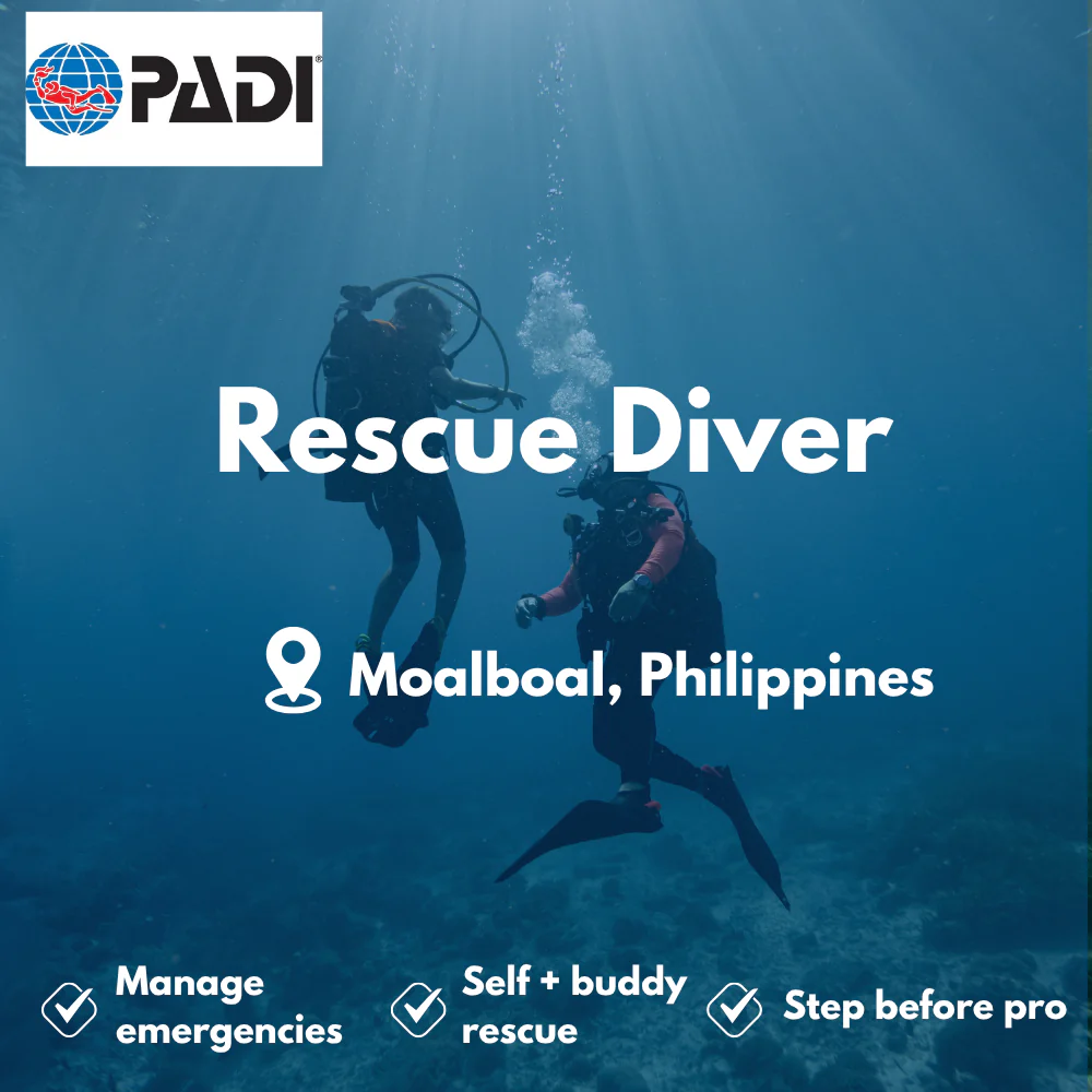 PADI Rescue Diver course in Moalboal