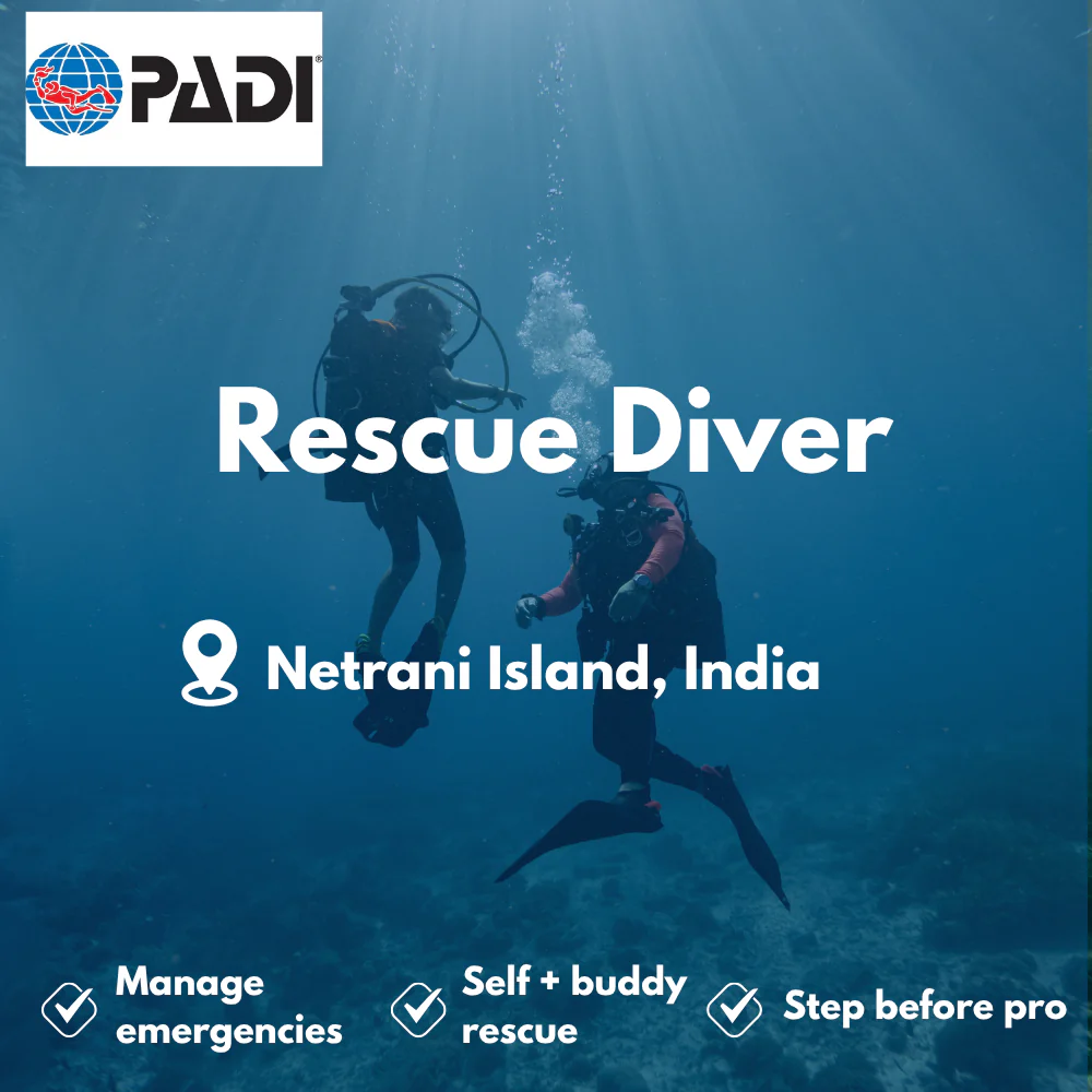 PADI Rescue Diver course in Netrani Island