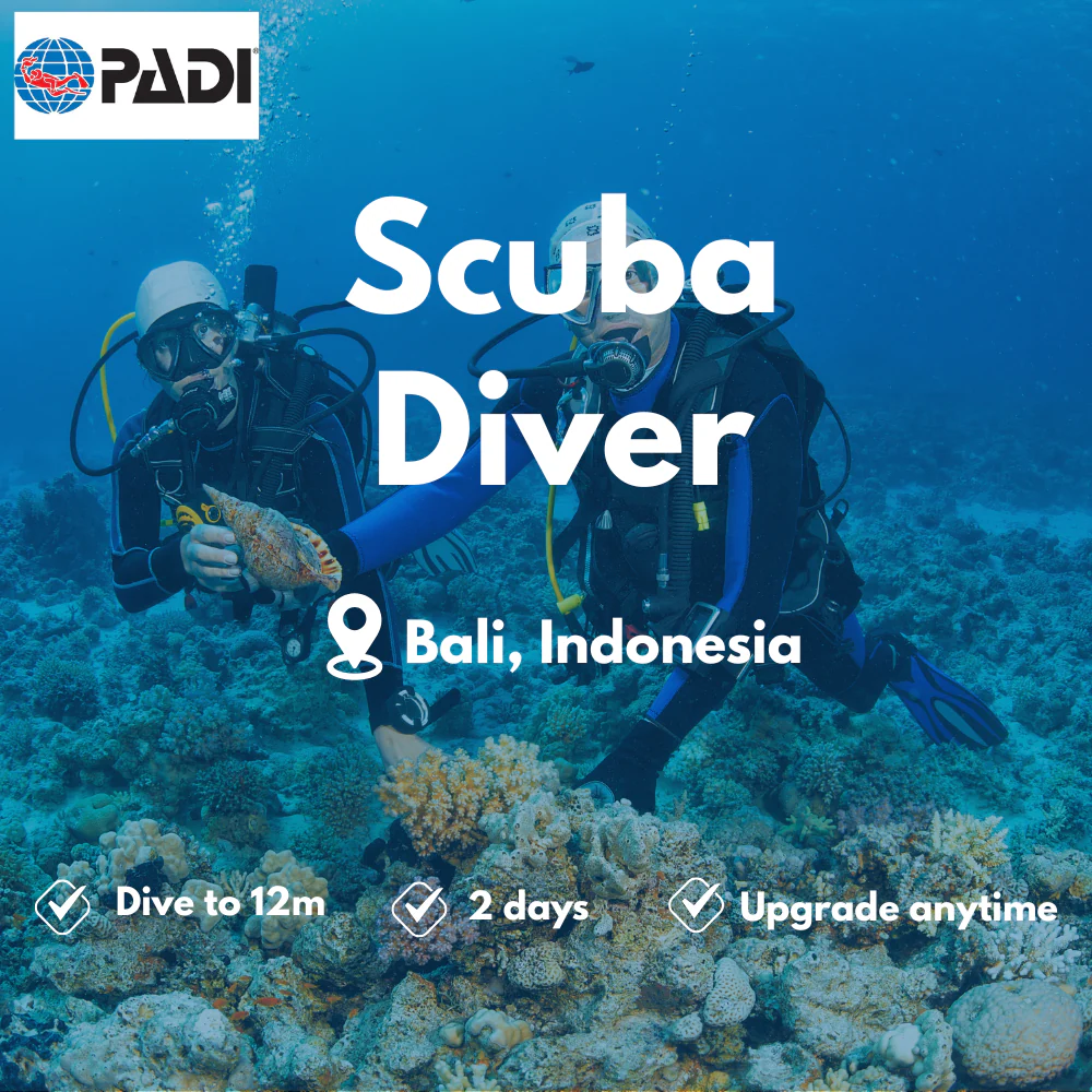 PADI Scuba Diver course in Bali
