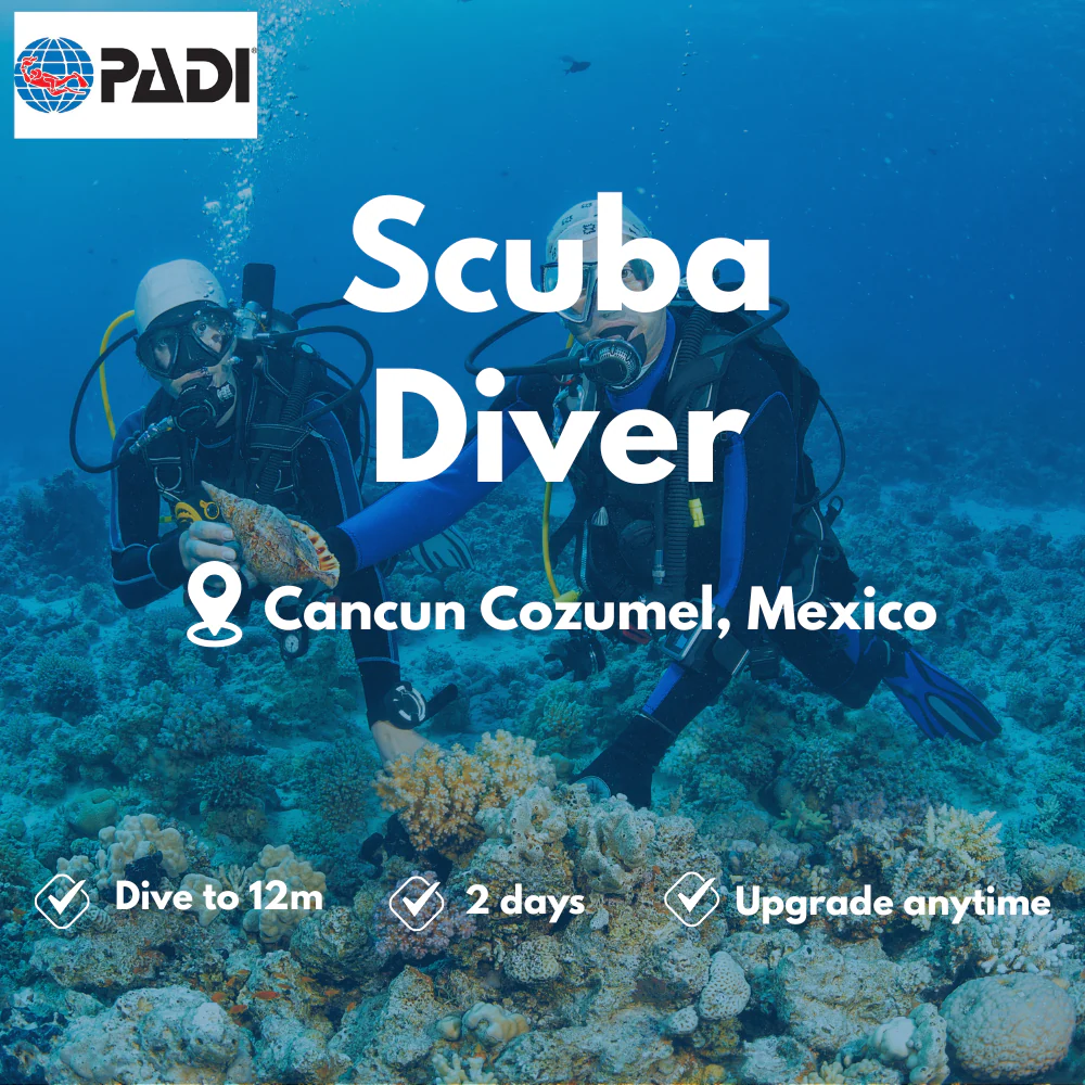 PADI Scuba Diver course in Cancun Cozumel
