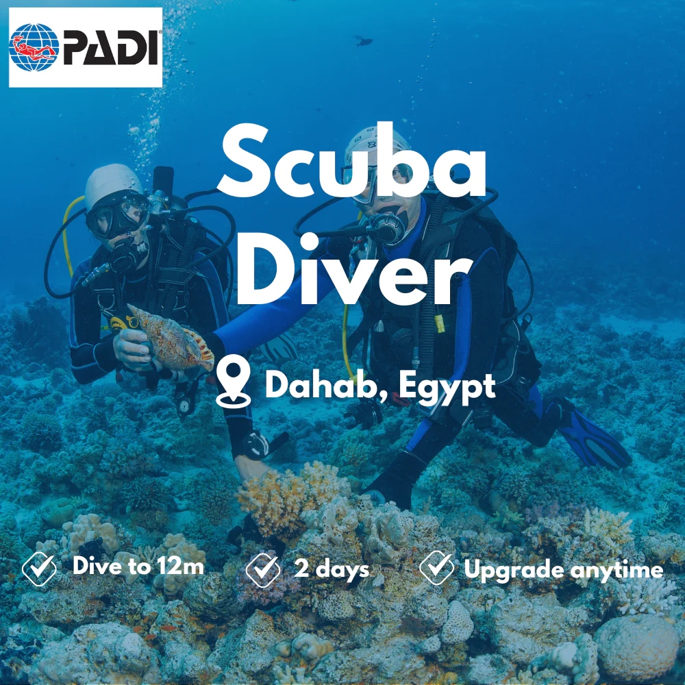 Scuba Diver course in Dahab