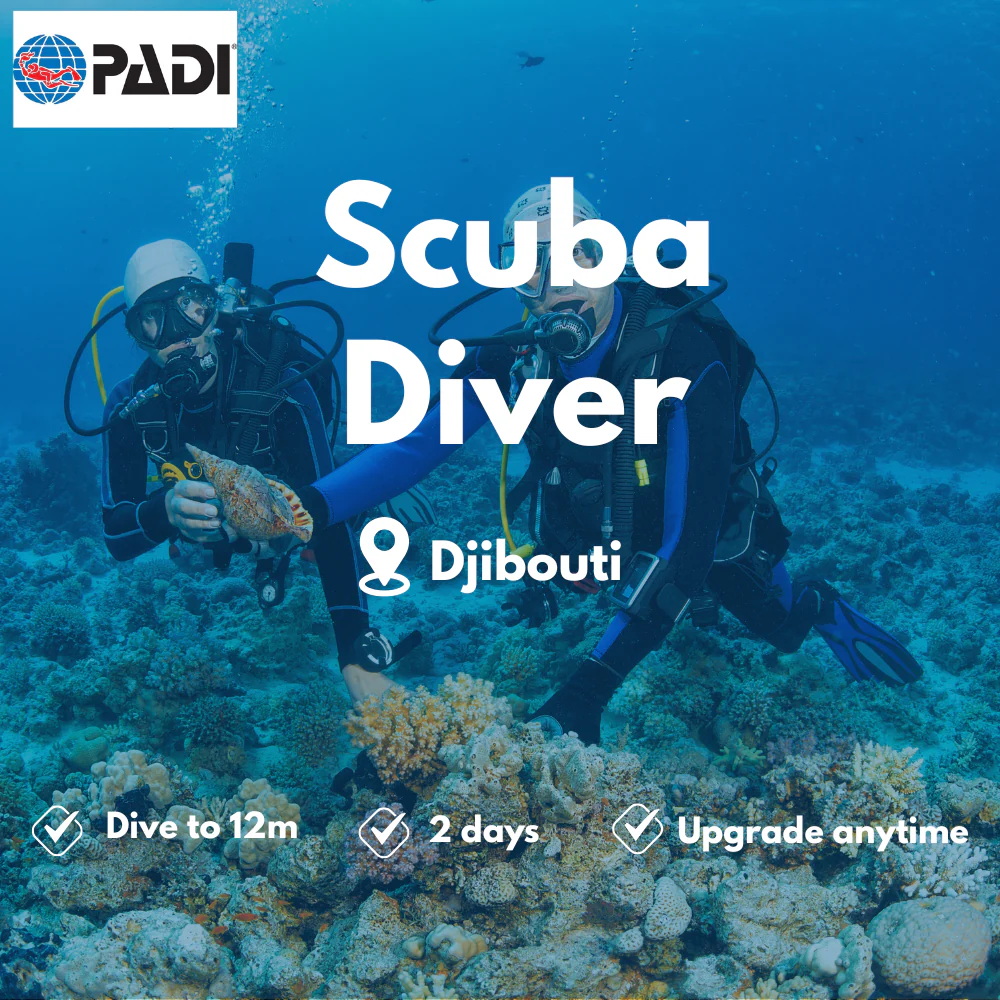 Scuba Diver course in Djibouti