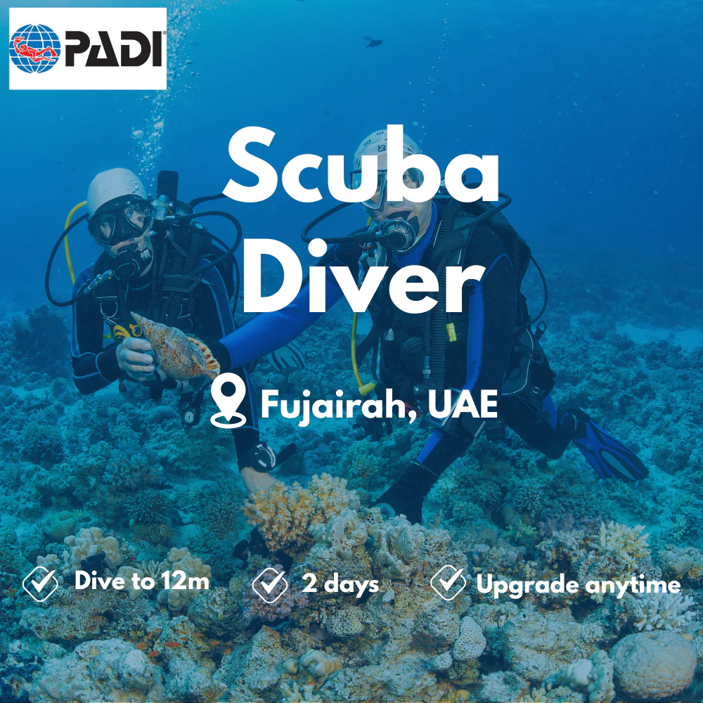PADI Scuba Diver course in Fujairah