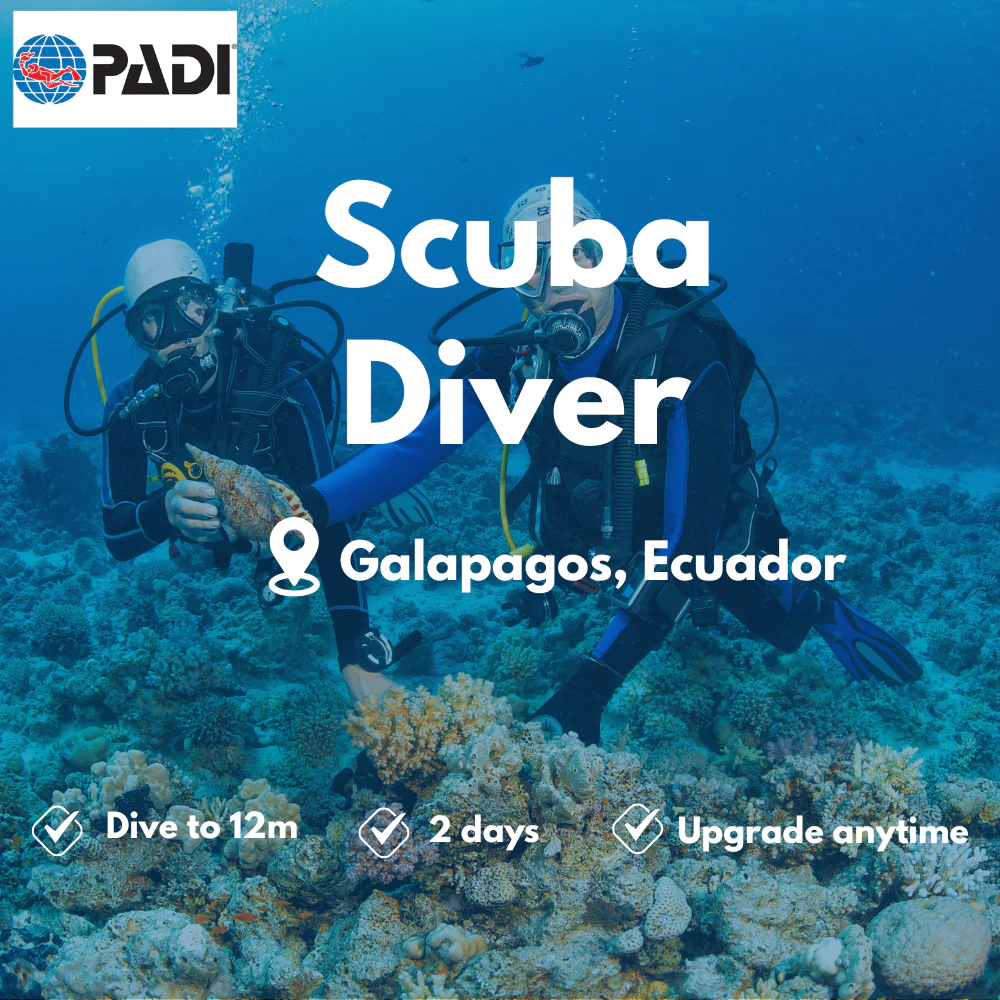 Scuba Diver course in Galapagos