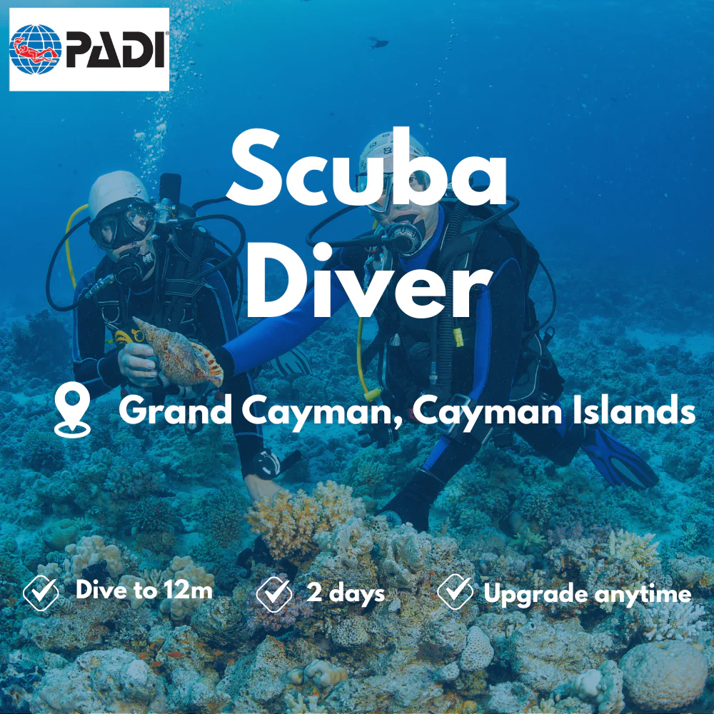Scuba Diver course in Grand Cayman