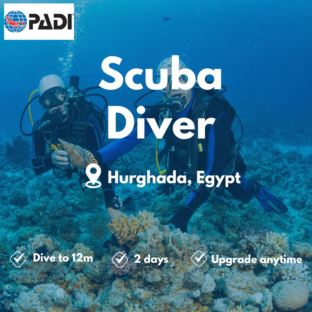 Scuba Diver course in Hurghada