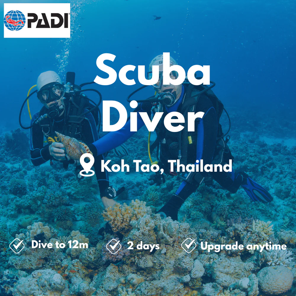 PADI Scuba Diver course in Koh Tao