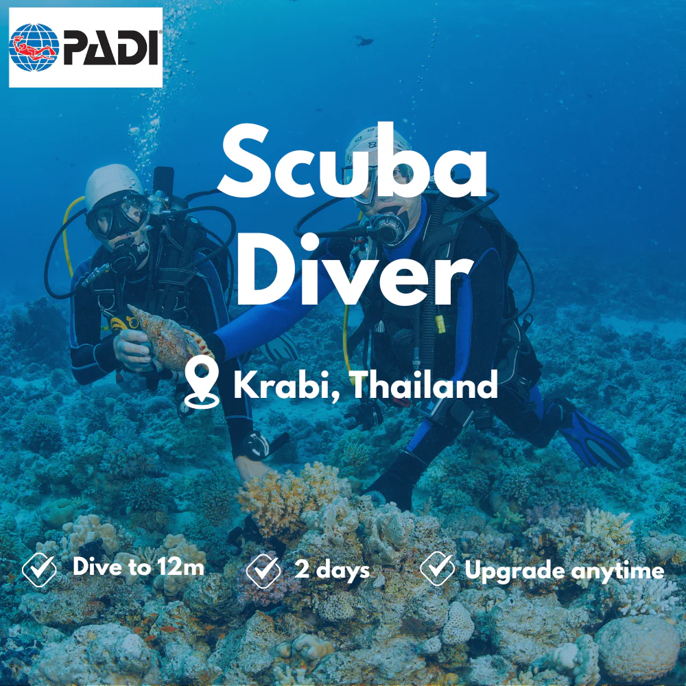 Scuba Diver course in Krabi