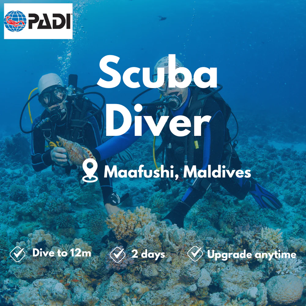 Scuba Diver course in Maafushi