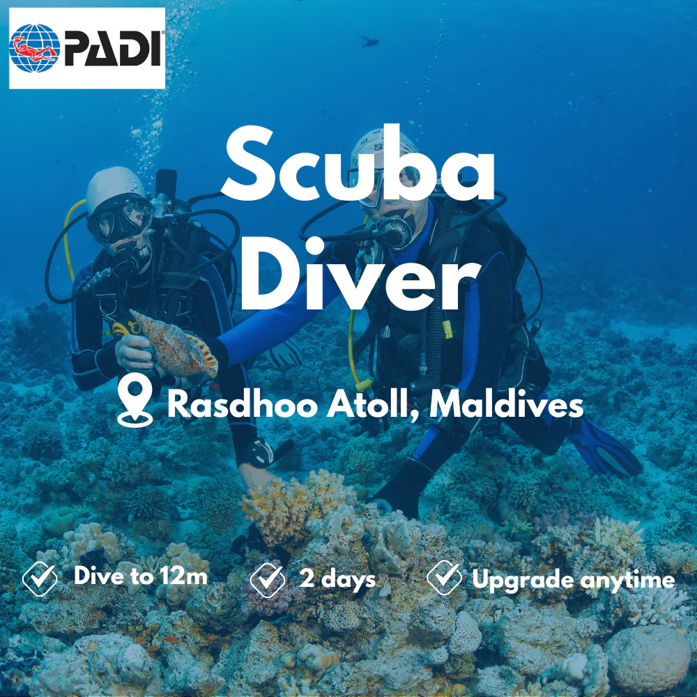PADI Scuba Diver course in Rasdhoo Atoll