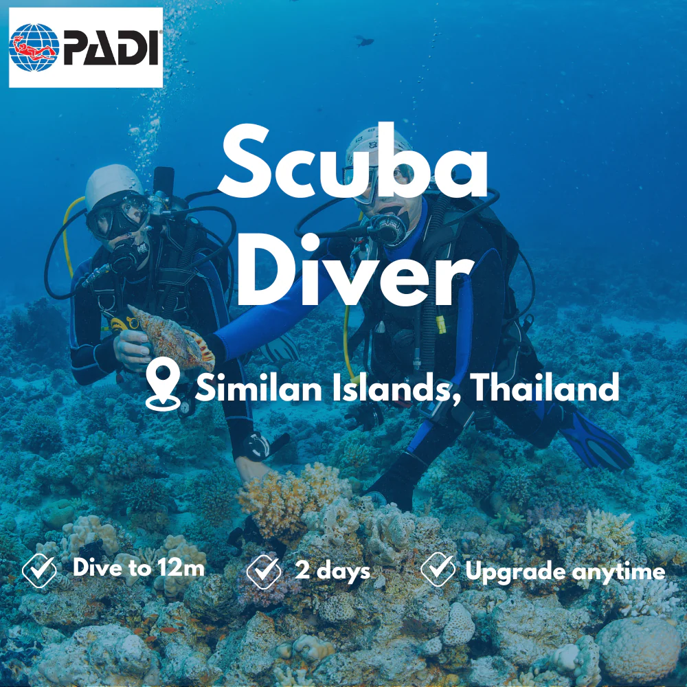 Scuba Diver course in Similan Islands