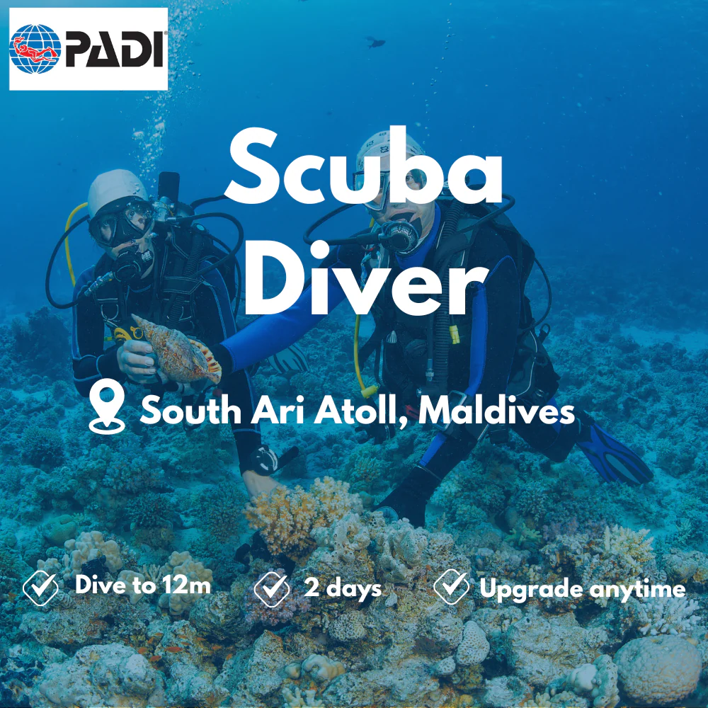 Scuba Diver course in South Ari Atoll