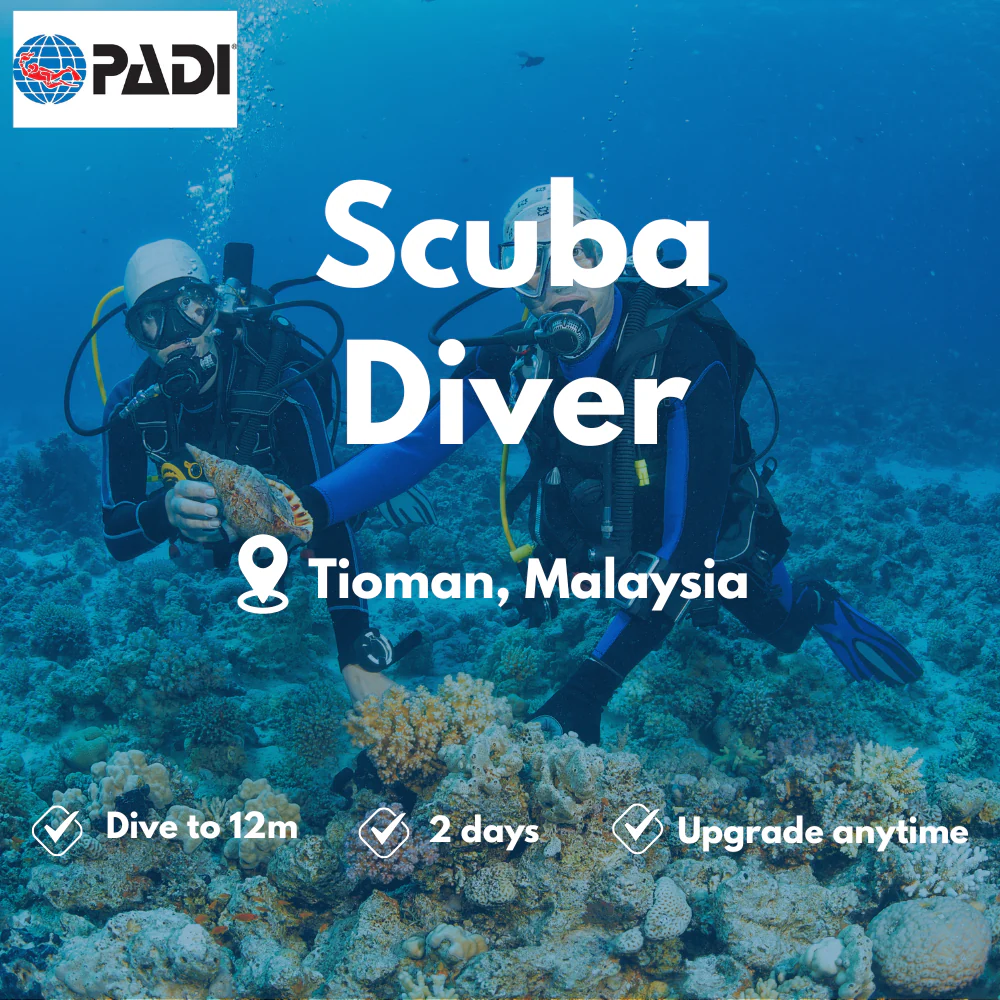 Scuba Diver course in Tioman