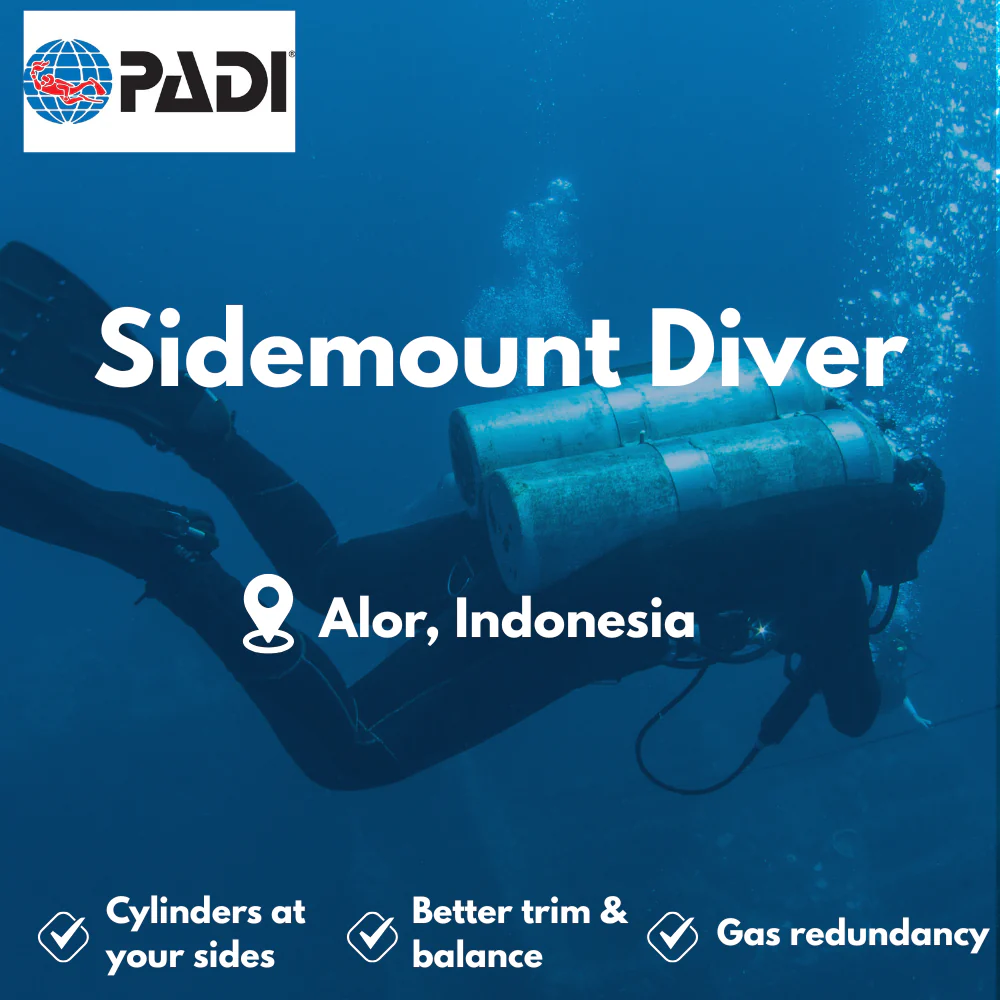 Sidemount Diver course in Alor
