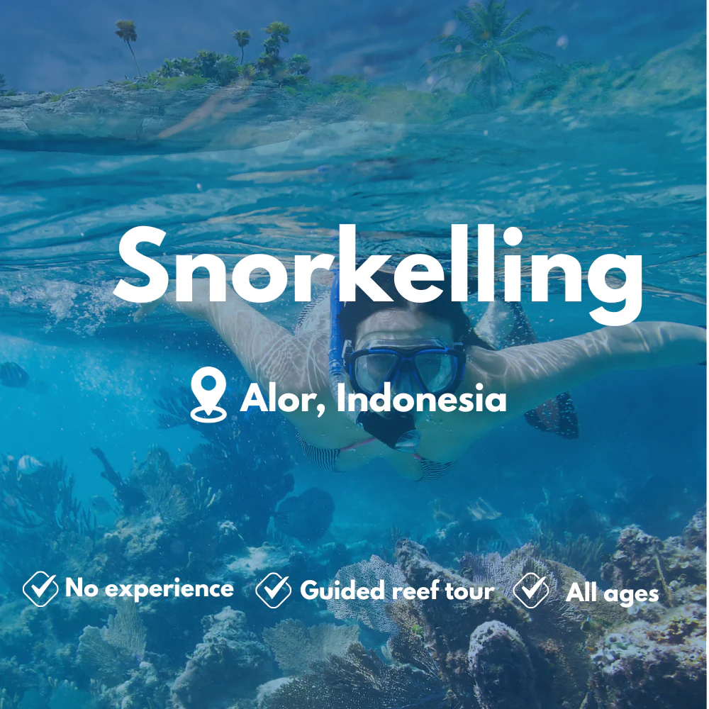 Snorkelling course in Alor